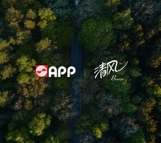 金光集团网站搭建