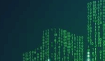 在一个上海高端91看片APP免费下载公司建设一个网站需要多少钱？