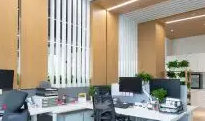 为什么选择91看片APP免费下载公司进行网络营销和形象宣传？