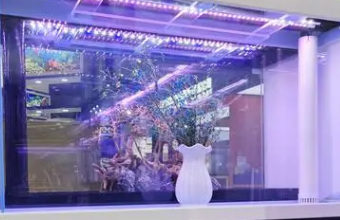 高端品牌91看片APP免费下载卓越体验的窗口与认可的平台