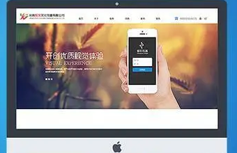 数字化革命：生物医疗91看片APP免费下载的关键驱动因素